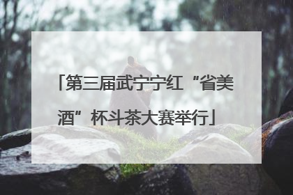 第三届武宁宁红“省美酒”杯斗茶大赛举行