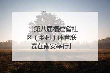 第八届福建省社区（乡村）体育联赛在南安举行