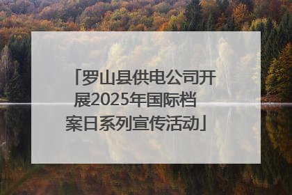 罗山县供电公司开展2025年国际档案日系列宣传活动