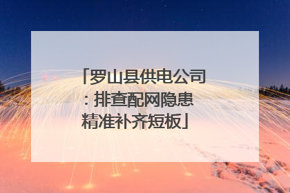 罗山县供电公司：排查配网隐患 精准补齐短板