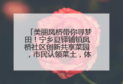 美丽凤桥带你寻梦田！宁乡夏铎铺镇凤桥社区创新共享菜园，市民认领菜土，体验耕种收获乐趣