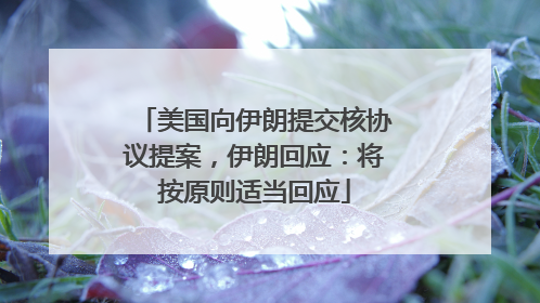 美国向伊朗提交核协议提案，伊朗回应：将按原则适当回应