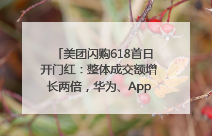 美团闪购618首日开门红：整体成交额增长两倍，华为、Apple、沃尔玛等近800个品牌翻倍增长