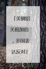美钢铝关税加倍，多国表达反对