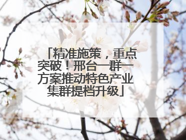 精准施策，重点突破！邢台一群一方案推动特色产业集群提档升级