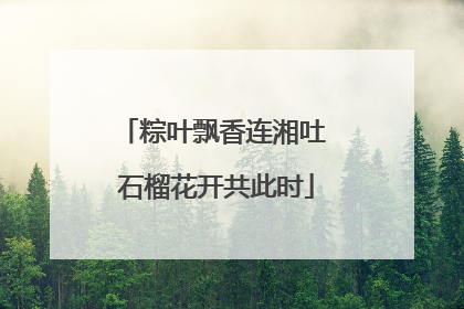 粽叶飘香连湘吐 石榴花开共此时