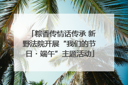 粽香传情话传承 新野法院开展“我们的节日・端午”主题活动