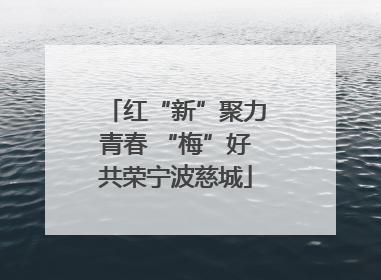 红“新”聚力青春 “梅”好共荣宁波慈城