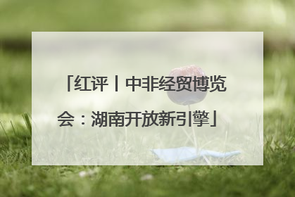 红评丨中非经贸博览会：湖南开放新引擎