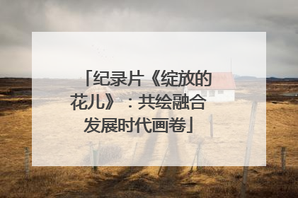 纪录片《绽放的花儿》：共绘融合发展时代画卷