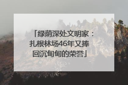 绿荫深处文明家：扎根林场46年又捧回沉甸甸的荣誉