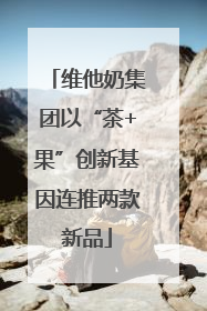 维他奶集团以“茶+果”创新基因连推两款新品