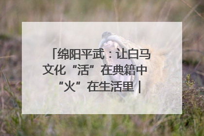 绵阳平武：让白马文化“活”在典籍中 “火”在生活里｜新闻发布最前线