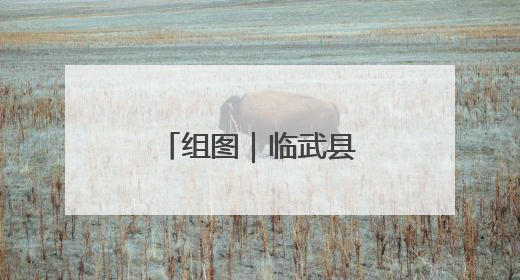 组图｜临武县：粽香迎端午 巧手寄初心
