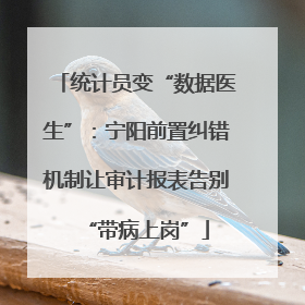 统计员变“数据医生”：宁阳前置纠错机制让审计报表告别“带病上岗”