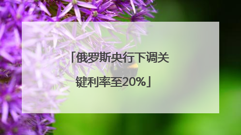 俄罗斯央行下调关键利率至20%
