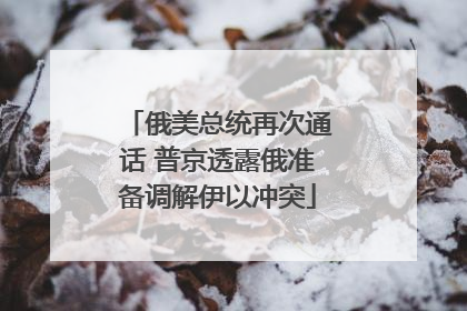 俄美总统再次通话 普京透露俄准备调解伊以冲突