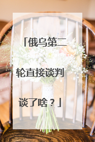 俄乌第二轮直接谈判谈了啥？