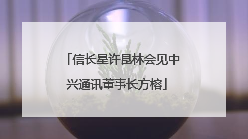 信长星许昆林会见中兴通讯董事长方榕