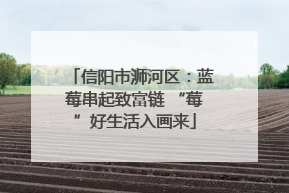 信阳市浉河区：蓝莓串起致富链 “莓”好生活入画来