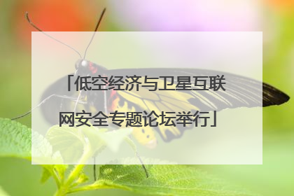 低空经济与卫星互联网安全专题论坛举行