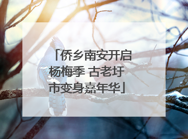侨乡南安开启杨梅季 古老圩市变身嘉年华