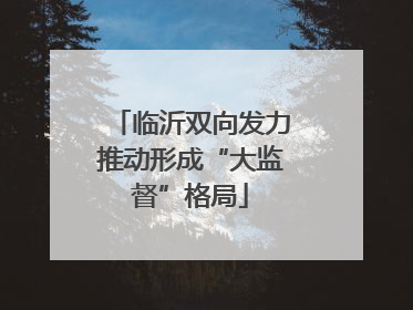 临沂双向发力推动形成“大监督”格局