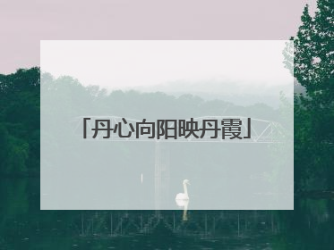 丹心向阳映丹霞