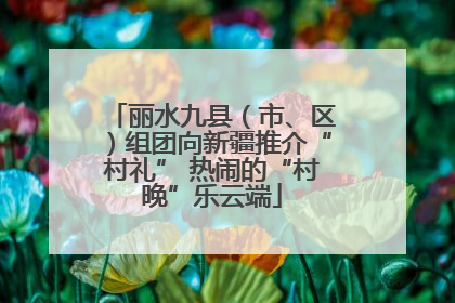 丽水九县（市、区）组团向新疆推介“村礼” 热闹的“村晚”乐云端