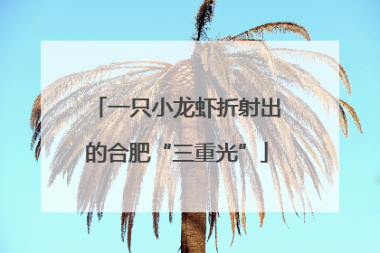 一只小龙虾折射出的合肥“三重光”