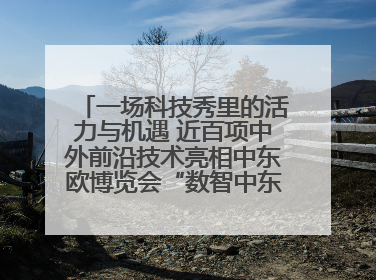 一场科技秀里的活力与机遇 近百项中外前沿技术亮相中东欧博览会“数智中东欧”板块
