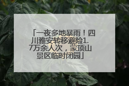 一夜多地暴雨！四川雅安转移避险1.7万余人次，蒙顶山景区临时闭园