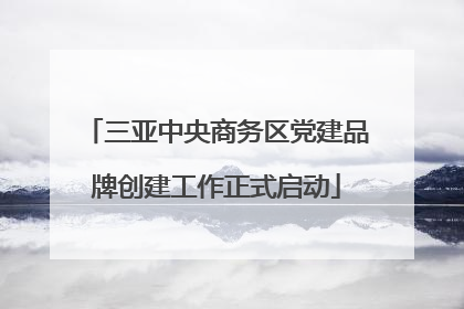 三亚中央商务区党建品牌创建工作正式启动