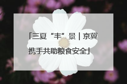 三夏“丰”景｜京冀携手共助粮食安全