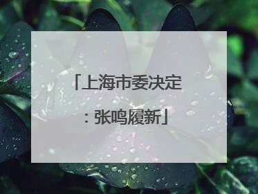 上海市委决定：张鸣履新