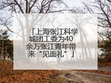 上海张江科学城团工委为40余万张江青年带来“见面礼”