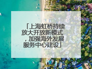 上海虹桥持续放大开放新模式，加强海外发展服务中心建设