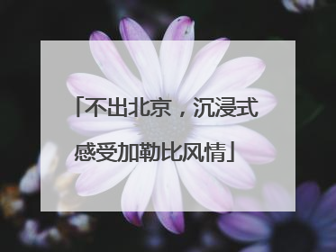 不出北京，沉浸式感受加勒比风情