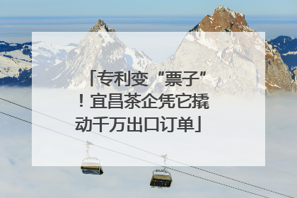 专利变“票子”！宜昌茶企凭它撬动千万出口订单