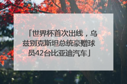 世界杯首次出线，乌兹别克斯坦总统豪赠球员42台比亚迪汽车
