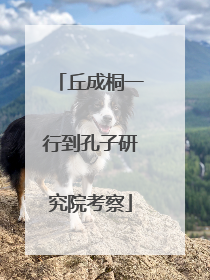 丘成桐一行到孔子研究院考察