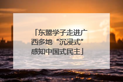 东盟学子走进广西多地“沉浸式”感知中国式民主