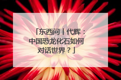 东西问丨代辉：中国恐龙化石如何对话世界？