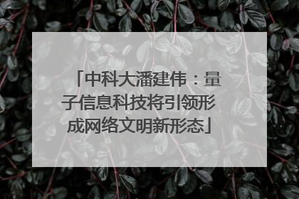 中科大潘建伟：量子信息科技将引领形成网络文明新形态