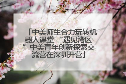 中美师生合力玩转机器人课堂 “遇见湾区”中美青年创新探索交流营在深圳开营