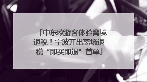 中东欧游客体验离境退税！宁波开出离境退税“即买即退”首单