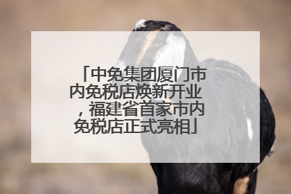 中免集团厦门市内免税店焕新开业，福建省首家市内免税店正式亮相