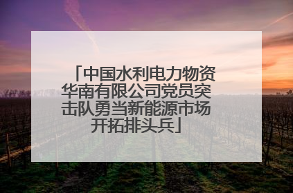 中国水利电力物资华南有限公司党员突击队勇当新能源市场开拓排头兵