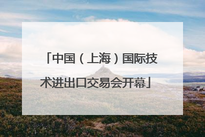 中国（上海）国际技术进出口交易会开幕
