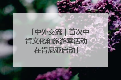 中外交流｜首次中肯文化和旅游季活动在肯尼亚启动